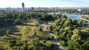 city skyline with aerial view of a park in the foreground