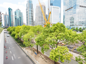 street with trees and a yellow crane and skyscrapers in the background