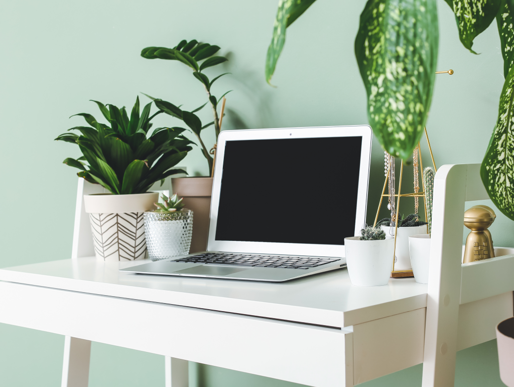 laptop on a desk surrounded by plants